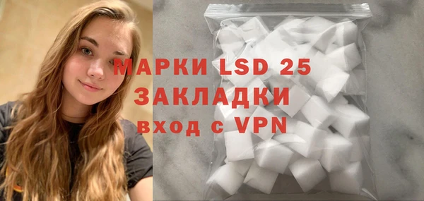 ГАЛЛЮЦИНОГЕННЫЕ ГРИБЫ Инта