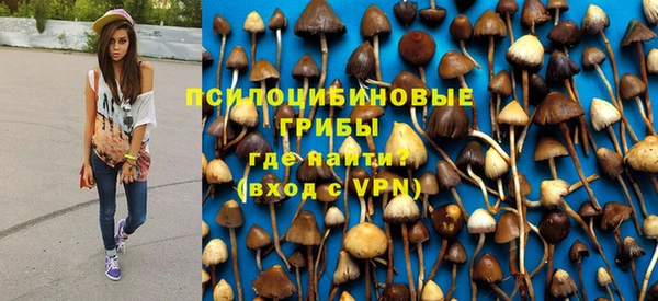 ГАЛЛЮЦИНОГЕННЫЕ ГРИБЫ Инта