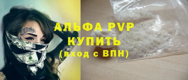 молекула духа Инсар