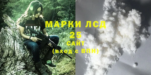 молекула духа Инсар