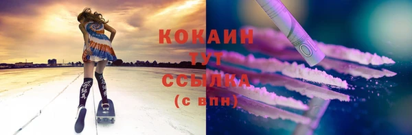 ГАЛЛЮЦИНОГЕННЫЕ ГРИБЫ Инта