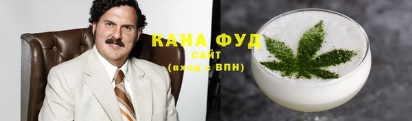 ГАЛЛЮЦИНОГЕННЫЕ ГРИБЫ Инта