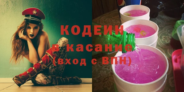 ГАЛЛЮЦИНОГЕННЫЕ ГРИБЫ Инта