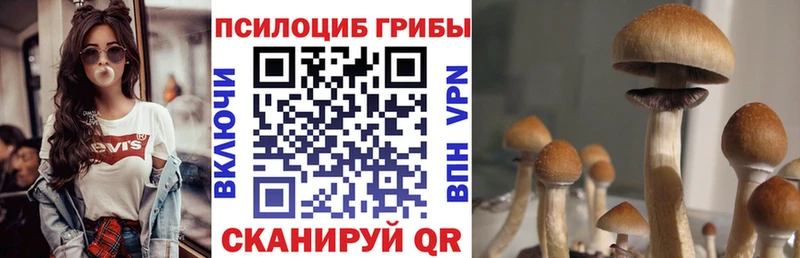 Галлюциногенные грибы мицелий  Купить  Емва 
